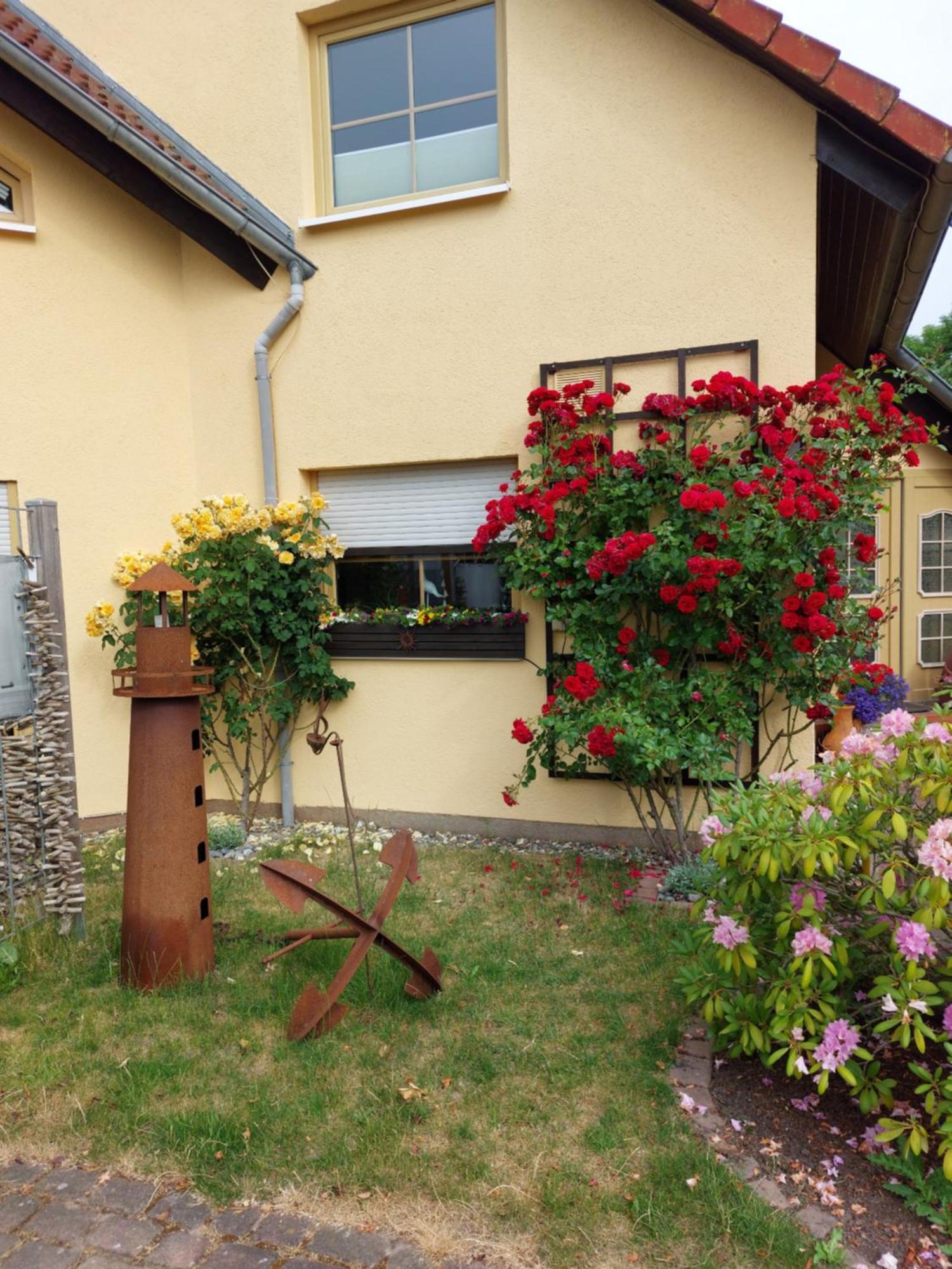Ostseeferien In Lichtenhagen-Dorf Ferienwohnung Elmenhorst/Lichtenhagen Екстериор снимка